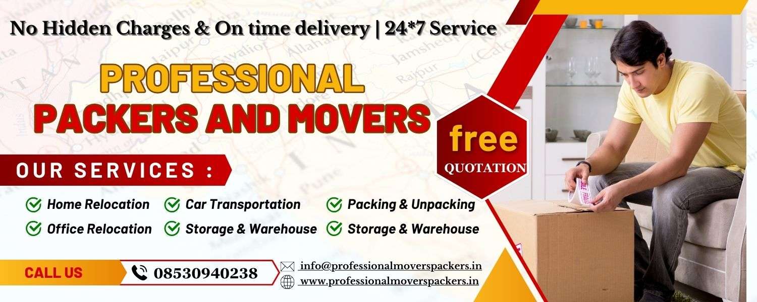 Professional Packers And Movers
